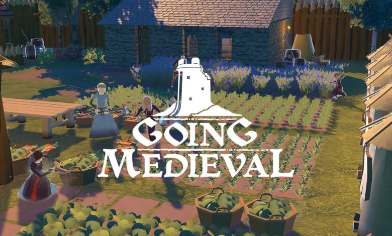 Se está volviendo medieval, un juego de estrategia en tiempo real, un juego agrícola o un constructor de ciudades