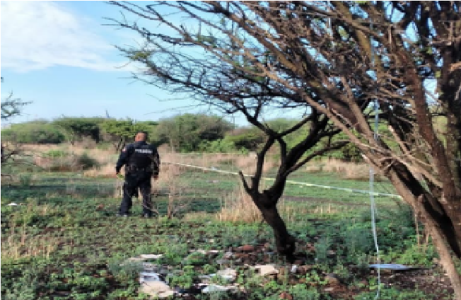 Se suicida un hombre de la tercera edad, en colonia Las Águilas de San Juan del Río