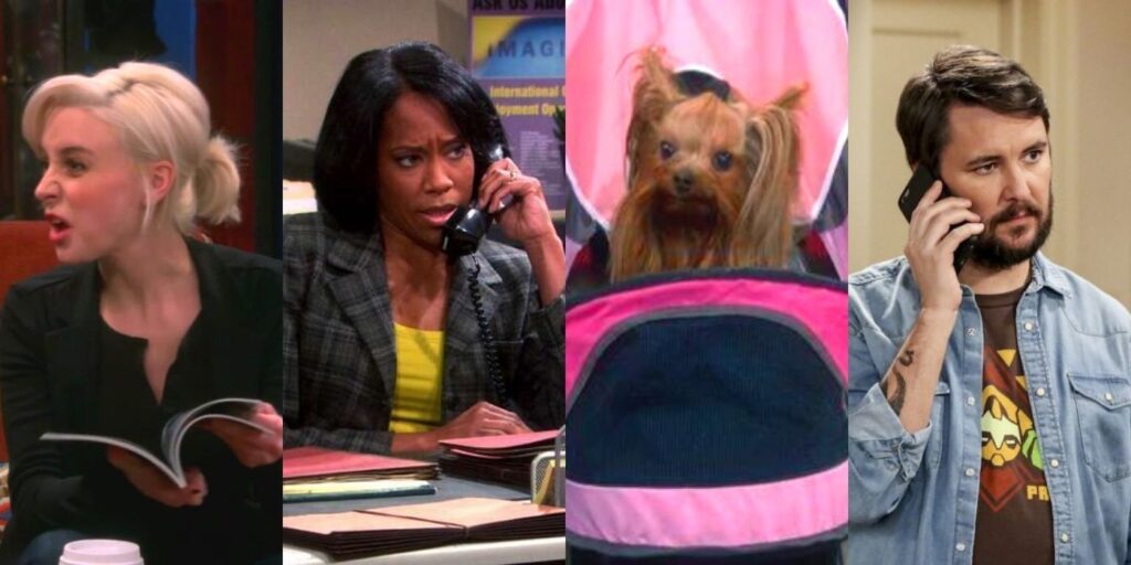 The Big Bang Theory: 10 héroes discretos en el programa |