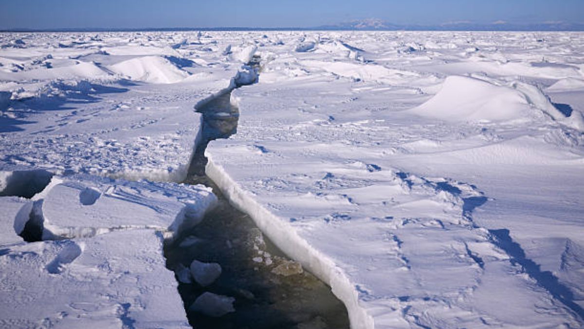 dónde están y en qué se diferencian