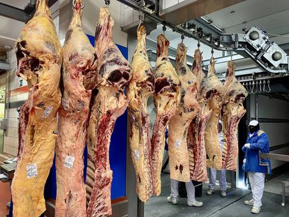 Una de las salas de Central de Carnes, Los Norteños. J.C. CAPEL