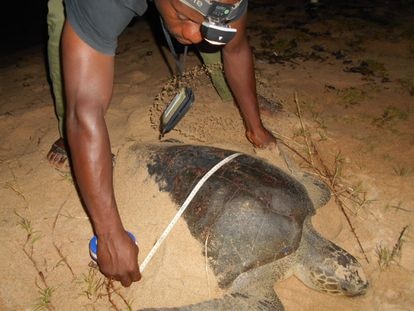 Seguimiento ecologico en Grand Bereby.