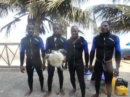 El equipo de submarinistas de CEM. Su trabajo sirve a la caracterización del fondo marino.