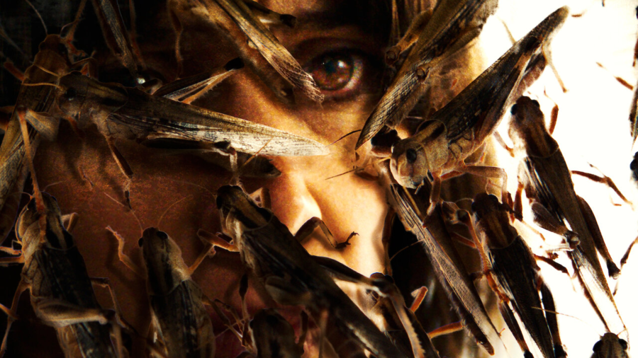 horror francés el enjambre netflix