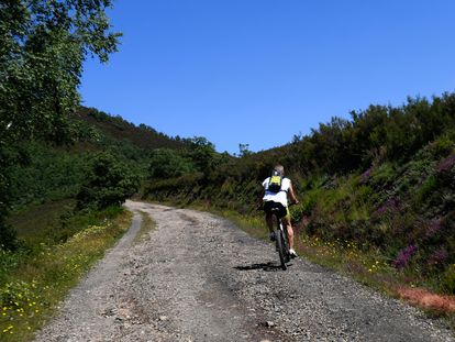 Un ciclista sube por una pista de pronunciada pendiente en el Parque Natural de Fuentes del Narcea, Degaña e Ibias.