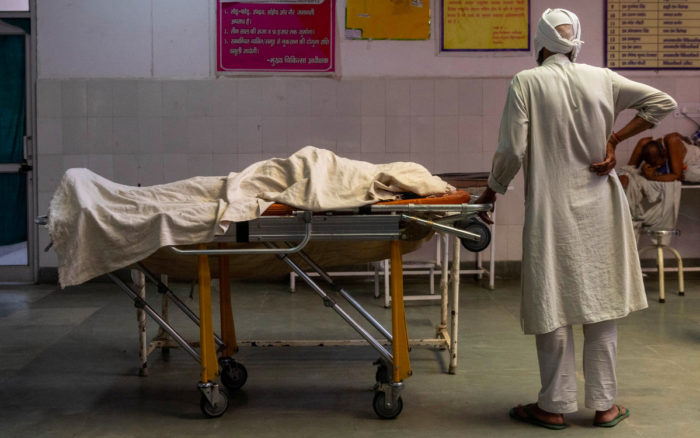 India reporta primera muerte humana por gripe aviar