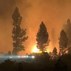 In this photo provided by the Bootleg Fire Incident Command, the Bootleg Fire burns at night in southern Oregon on Saturday, July 17, 2021. The destructive Bootleg Fire, one of the largest in modern Oregon history, has already burned more than 476 square miles (1,210 square kilometers), an area about the size of Los Angeles. The Bootleg Fire is among dozens burning in the parched West. (Bootleg Fire Incident Command via AP)