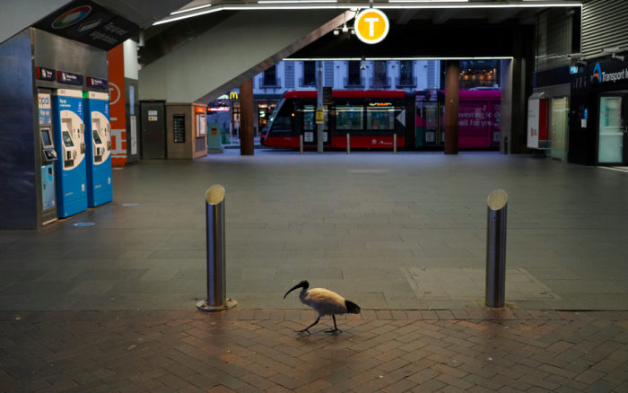 Sídney suma cuatro semanas al confinamiento por el incremento de casos de Covid-19