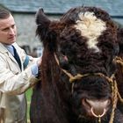 Nicholas Ralph, James Herriot en 'Todas las criaturas grandes y pequeñas'.