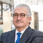 José Bogas, Endesa
