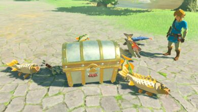 BotW Player se convierte en el primero en abrir un cofre 'imposible'
