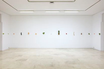 Puerros, coles o berenjenas auténticas. En la exposición se podía apreciar en vivo su proceso natural de descomposición.