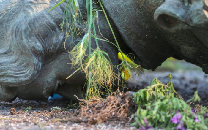 Derriban estatuas de las reinas Victoria e Isabel II en Winnipeg, Canadá | Videos