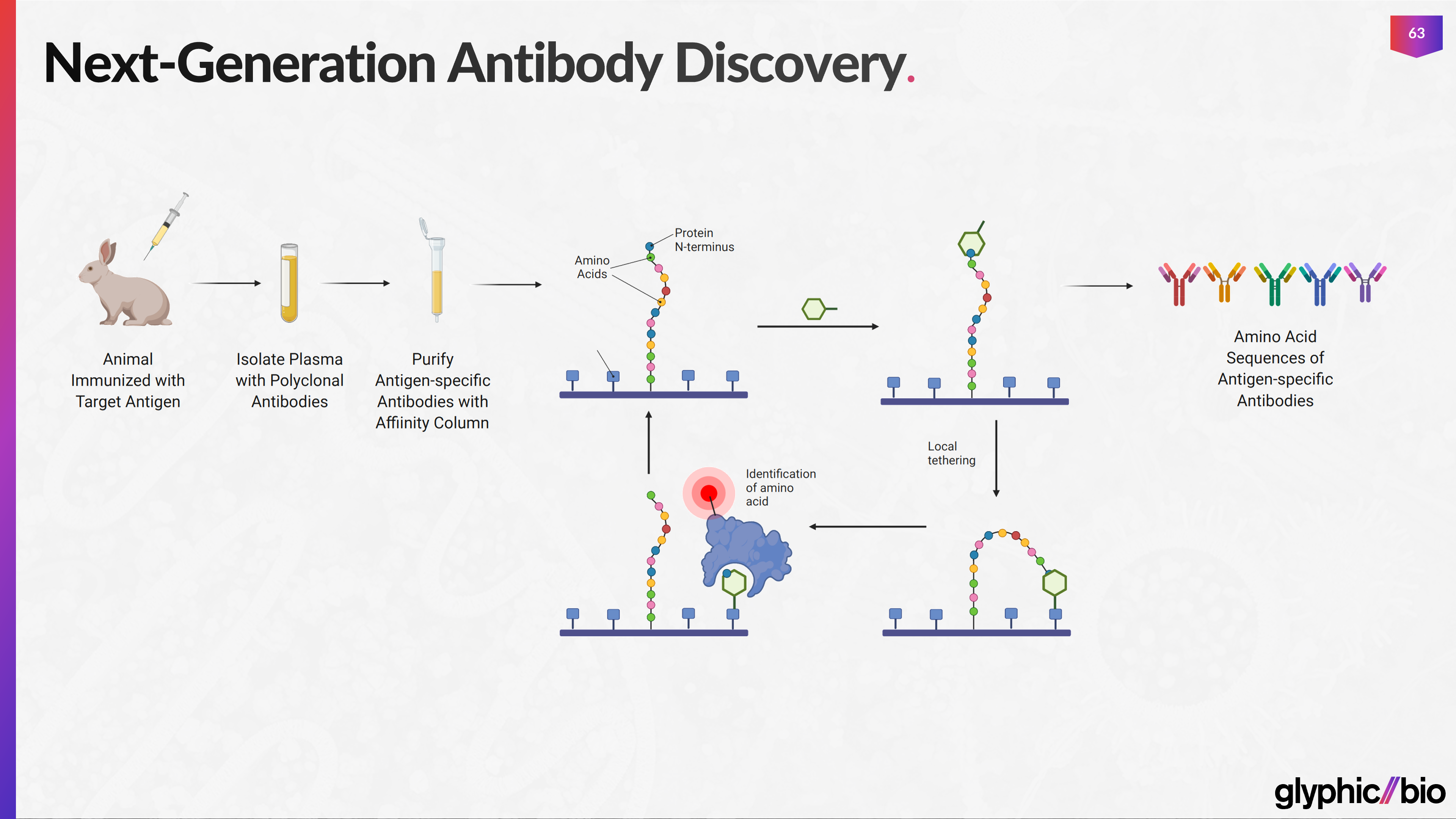 Ilustración del proceso glífico a nivel molecular.