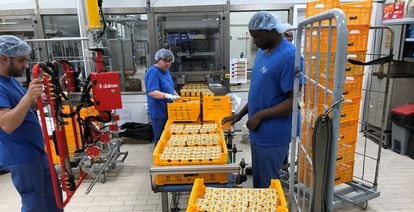 En La Fageda, cooperativa de productos lácteos que factura más de 26 millones de euros, una parte importante de la plantilla la forman personas de colectivos vulnerables.