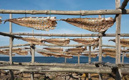 El secadero de congrios al aire libre de Miguel Diz y de su abueloJuan. 