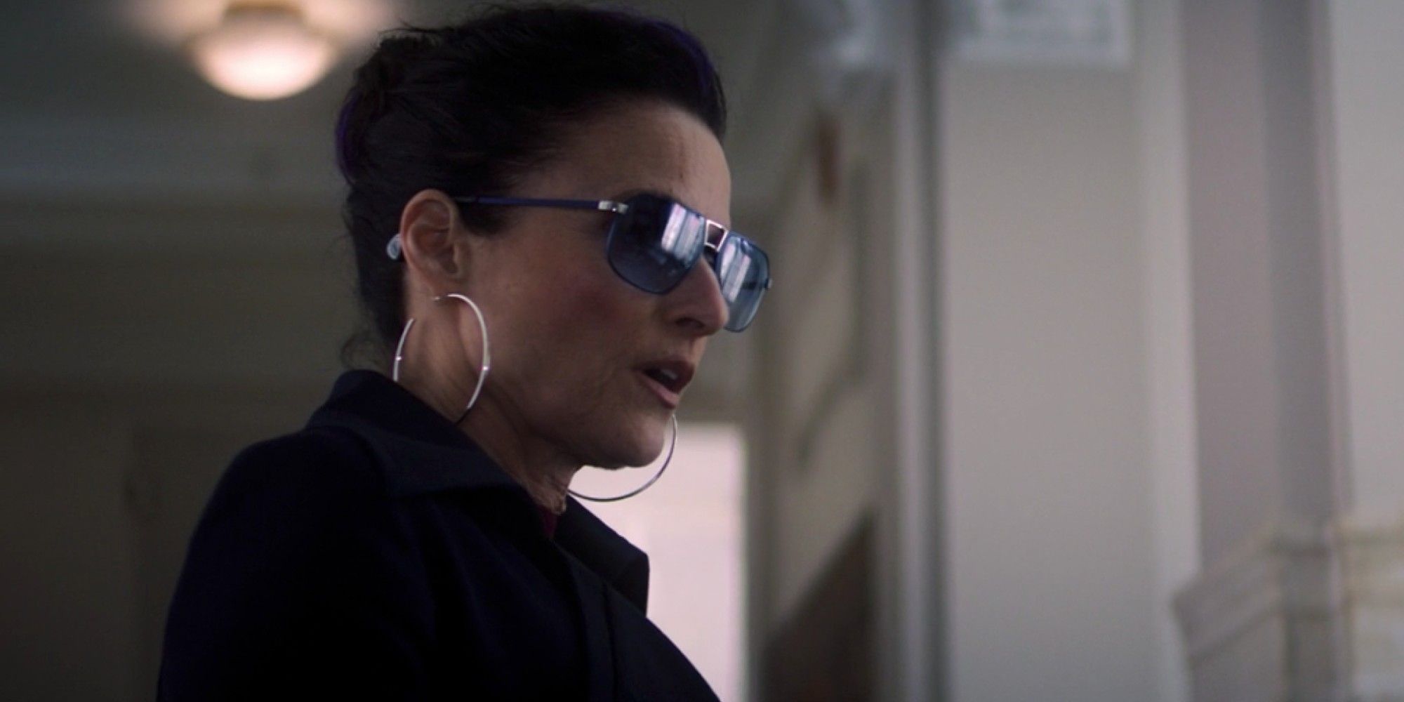 Marvel Boss On Excitement casting Julia Louis-Dreyfus en The MCU