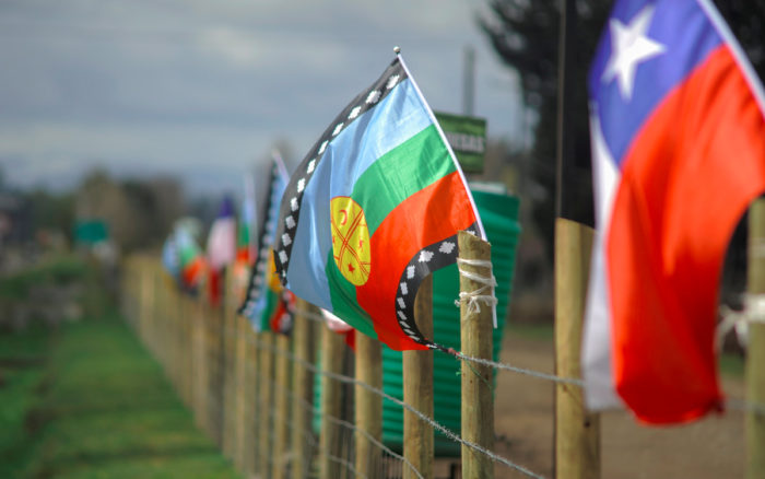 Mortal tiroteo en Chile genera tensiones con indígenas mapuches | Video