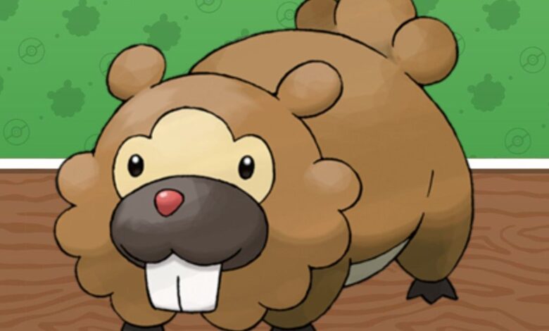 Pokémon Bidoof Day: Una breve historia de Bidoofery |