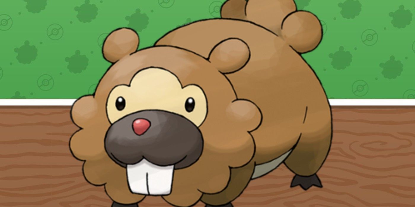 Pokémon Bidoof Day: Una breve historia de Bidoofery |