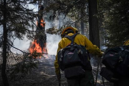 Bomberos trabajando en el Bootleg, uno de los incendios más grandes en la historia de Oregón.
