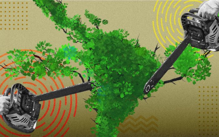 Nevadas insospechadas, sequías históricas y gobiernos indiferentes