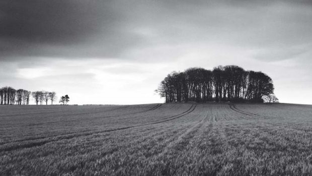 Fotógrafos historia