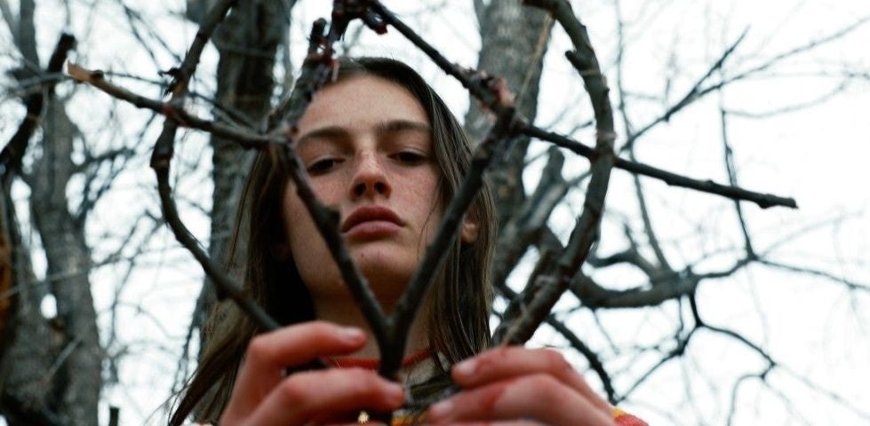 revisión de hellbender fantasia revisión de hellbender fantasia