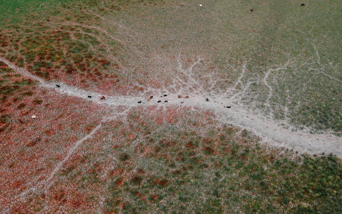 ‘Masa de agua caliente’ al sur del Pacífico provoca megasequía en Chile