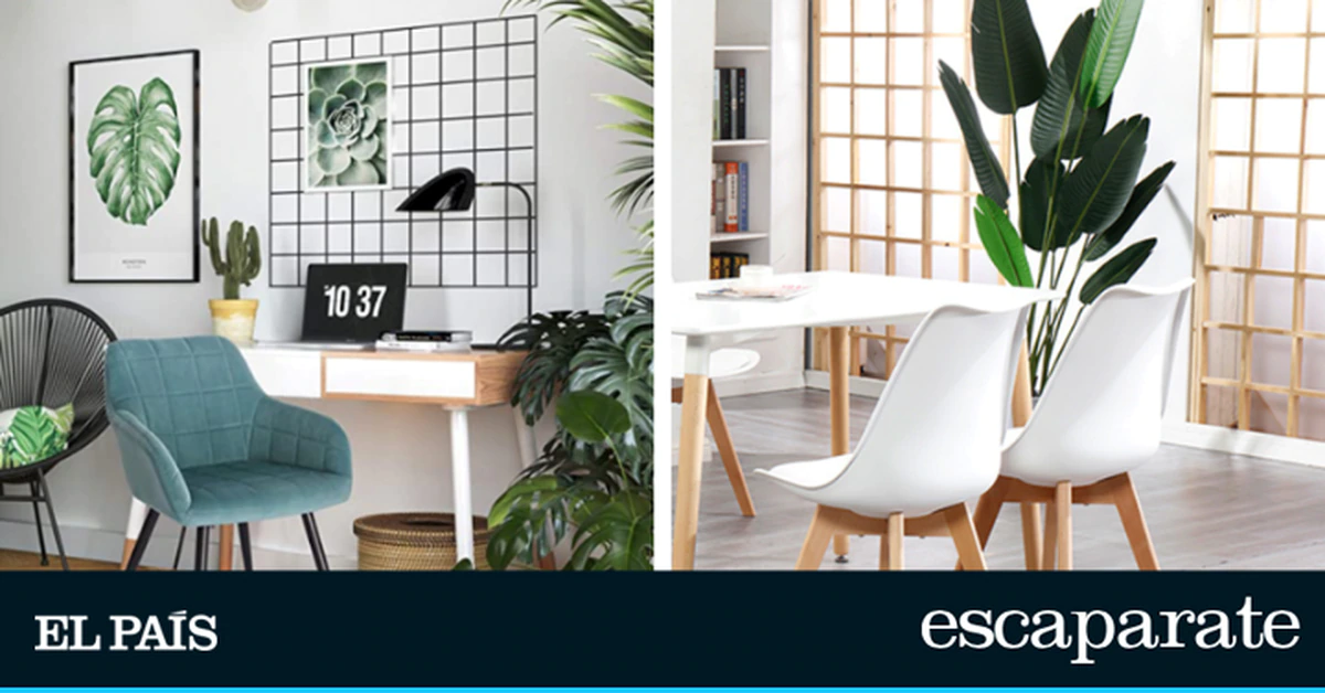 Las mejores sillas para un comedor confortable y bonito