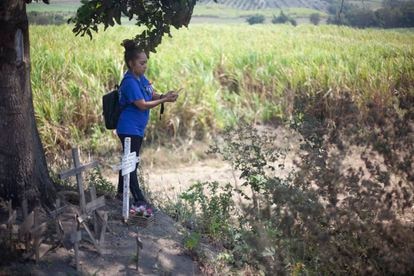 Una mujer observa el predio donde fueron localizadas fosas clandestinas en Nayarit, México.