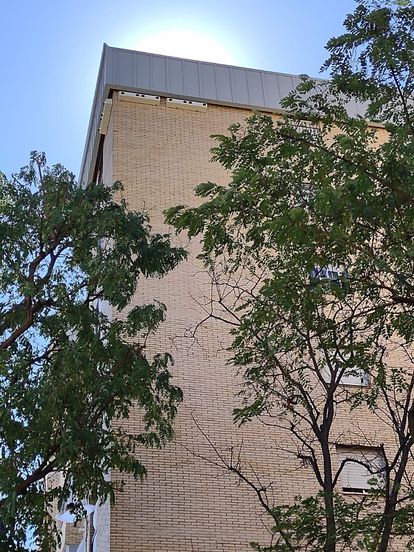 Algunos de los nidos colocados en la fachada de un bloque de Orcasitas.