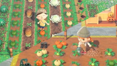 El jugador de Animal Crossing usa pelotas de playa y más para crear una granja perfecta