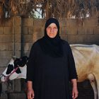 Saya Ishab junto a varias vacas en el patio de su hogar. Saya perdió a su marido, Safa. De su hijo Haiza, de entonces 16 años, no conserva nada, ni siquiera una foto.