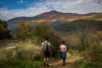 Madrid. 02/11/2020. Una pareja camina por la zona boscosa del pueblo madrileño de Rozas de Puerto Real, que cuenta con el castañar más extenso de toda la región. EFE/Rodrigo Jiménez