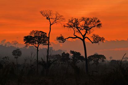 El humo de los incendios intencionados impregna el aire del atardecer en la Amazonia.