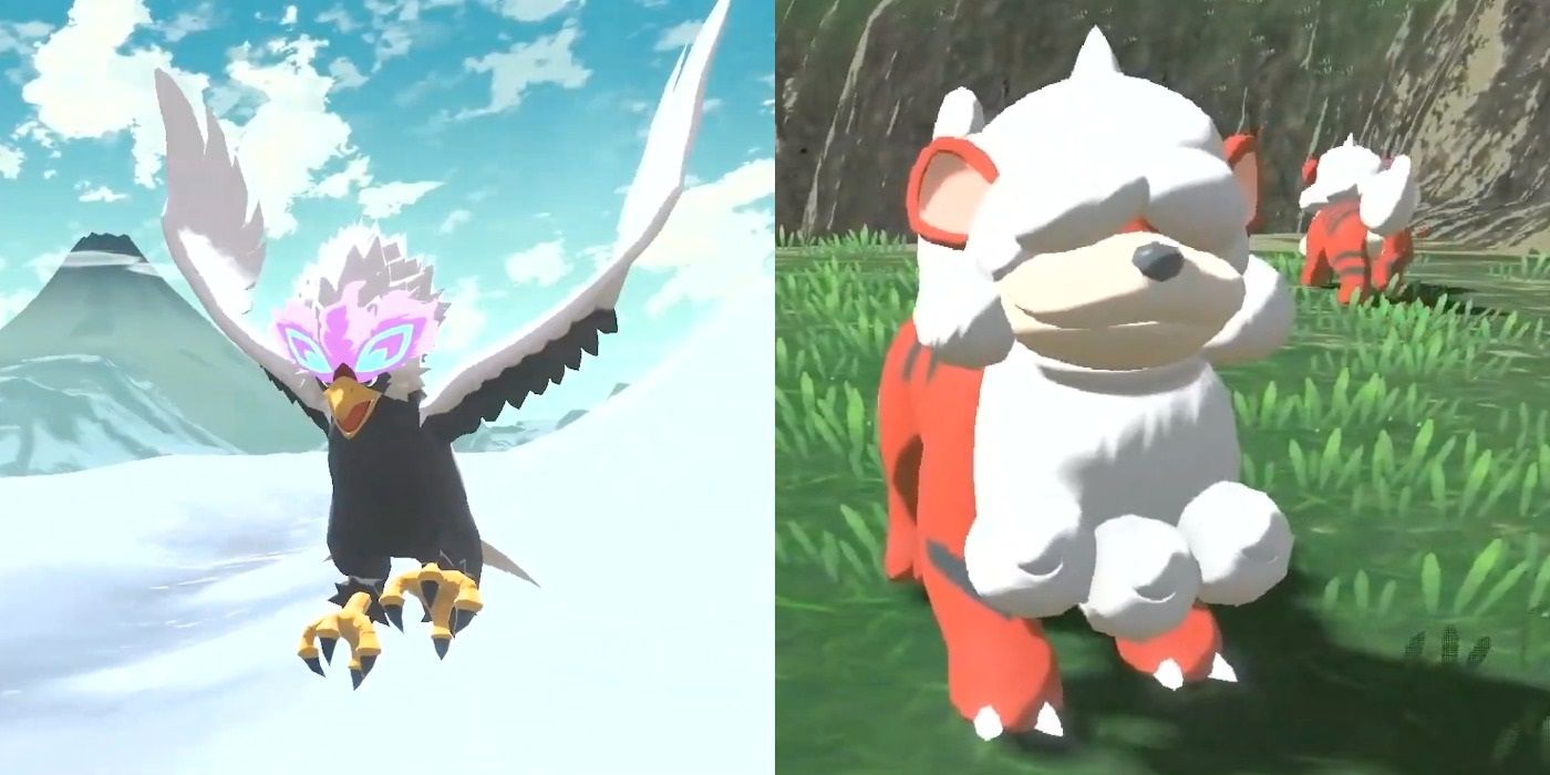 Pokémon Legends: Los formularios de la región de Arceus Hisui incluyen Braviary y Growlithe