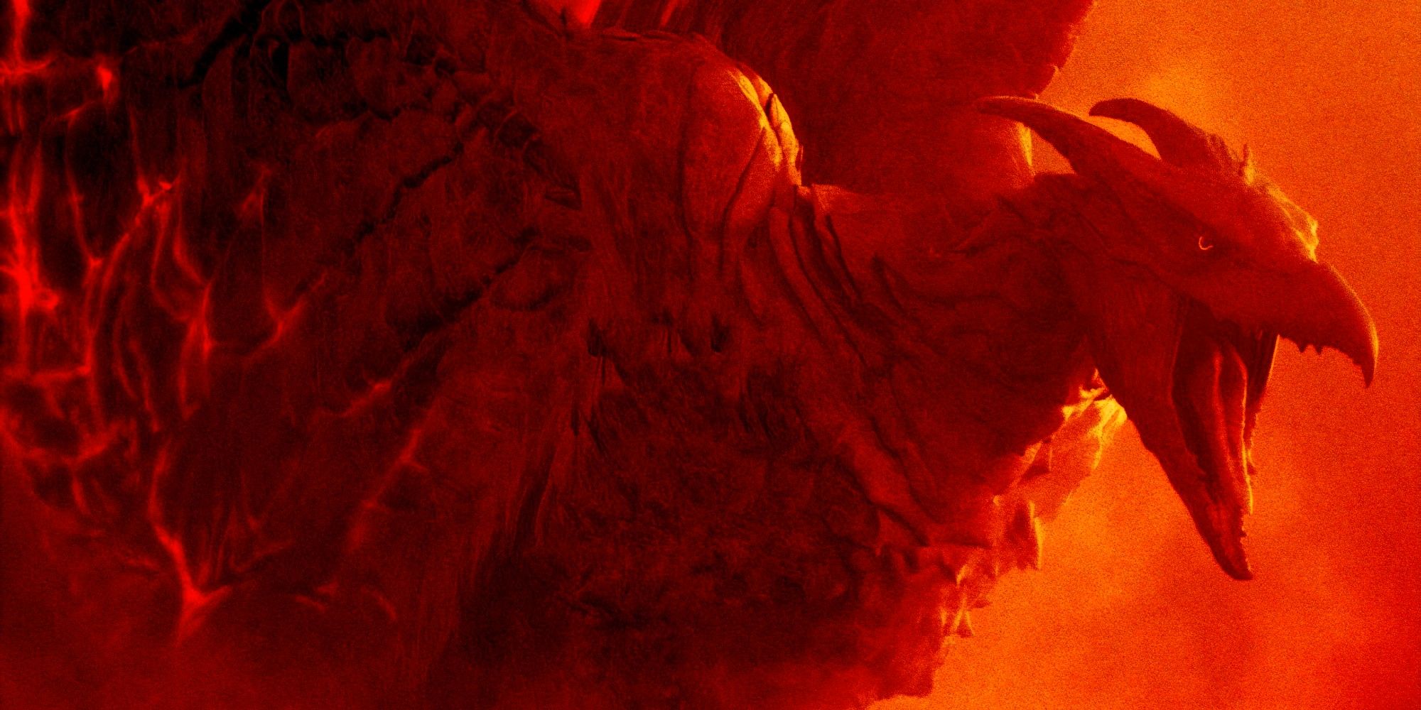 Por qué Rodan no estaba en Godzilla vs Kong (y no puede regresar en MonsterVerse)