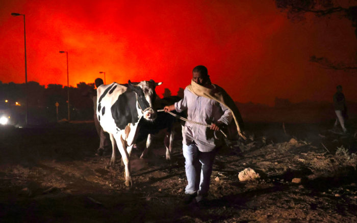 Por quinto día consecutivo, el fuego arrasa pueblo en el norte de Atenas, Grecia | Video