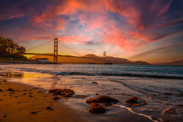 Resumen de Extra Crunch: tácticas previas al lanzamiento, Warby Parker S-1, el ecosistema fintech de Israel