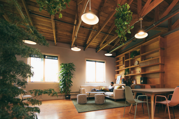 Substack adquiere el equipo detrás de la aplicación social de suscripción Cocoon