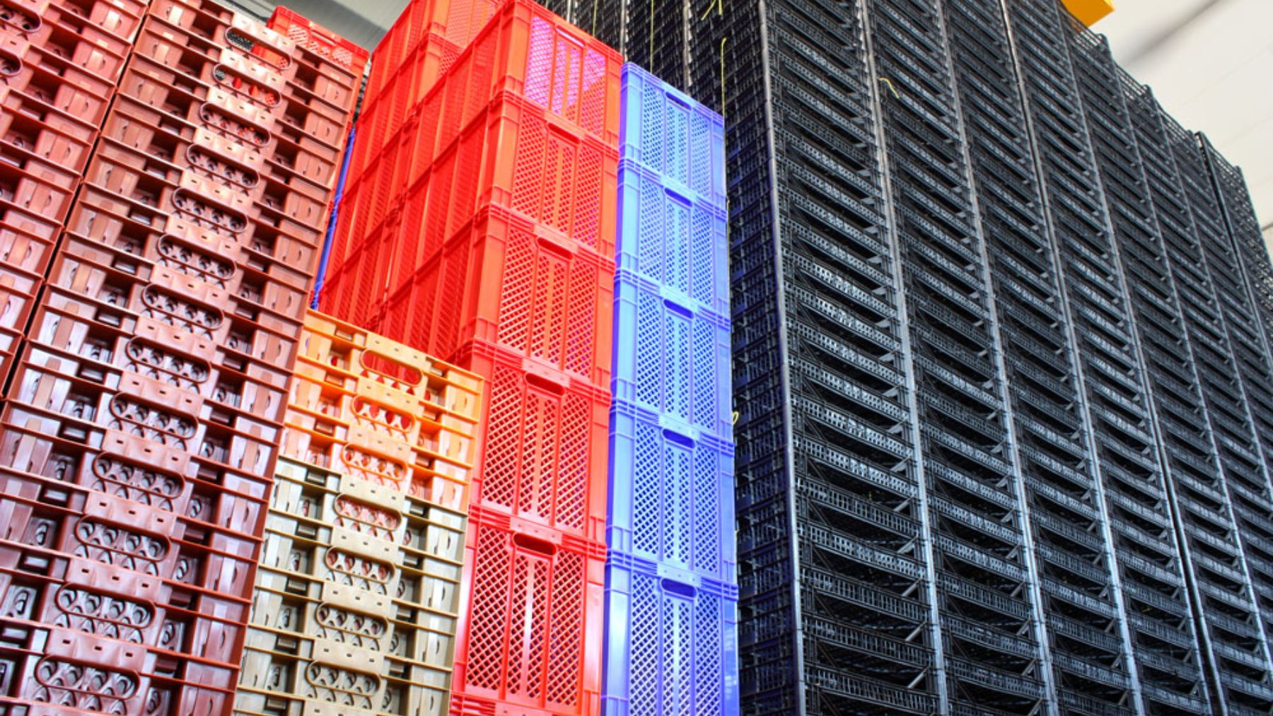 el nuevo reto viral de TikTok