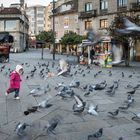 Zona peatonal de Pontevedra.