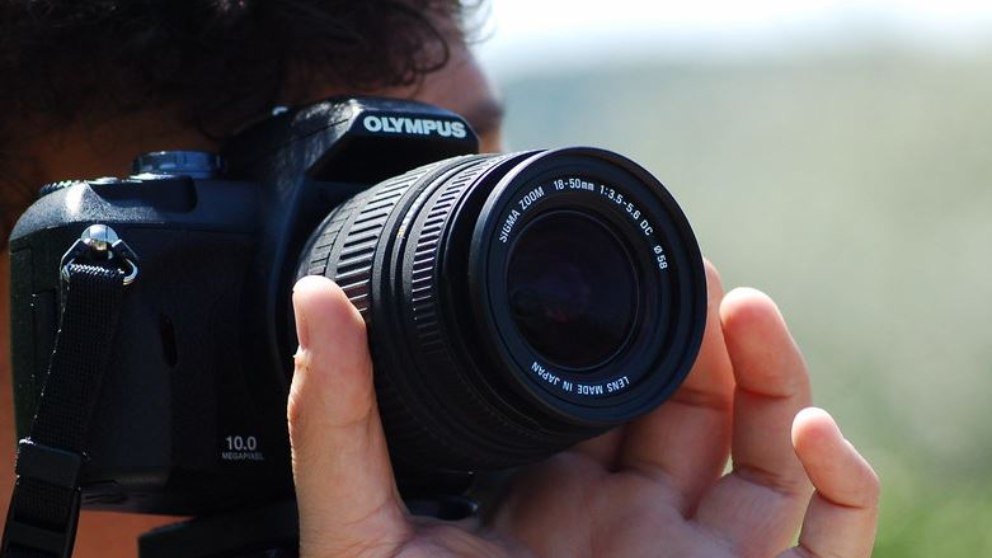 ¿Por qué se celebra el 19 de agosto?