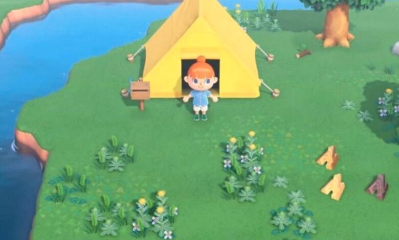 ¿Qué sucede en Animal Crossing si ignoras tu isla durante un año?