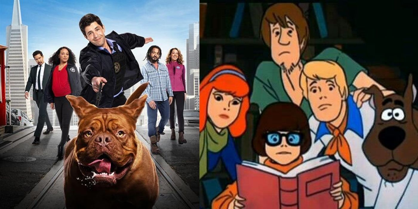 10 mejores programas como Turner y Hooch |