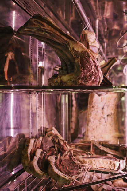 Las neveras de Ca Joan son su verdadero tesoro.