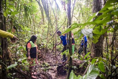 Miembros de la guardia indígena señalan el punto exacto en donde el ejército explotó de manera controlada un artefacto que quedó de un combate entre grupos armados.