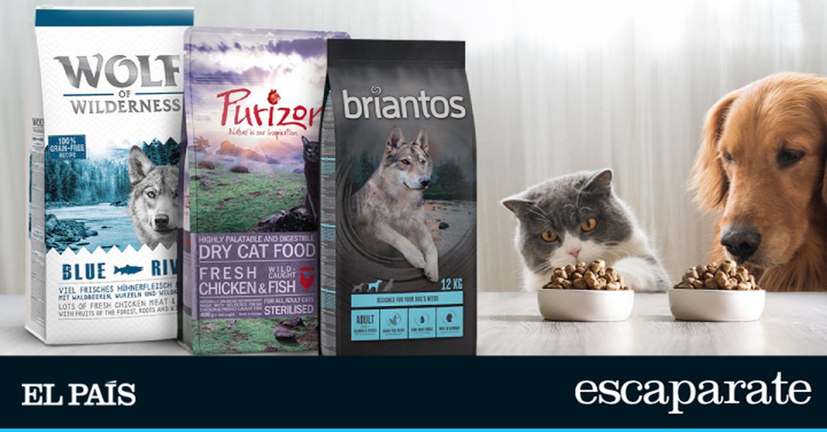 Mejora la alimentación de tu perro o gato con estos diez piensos sin cereales de primeras marcas
