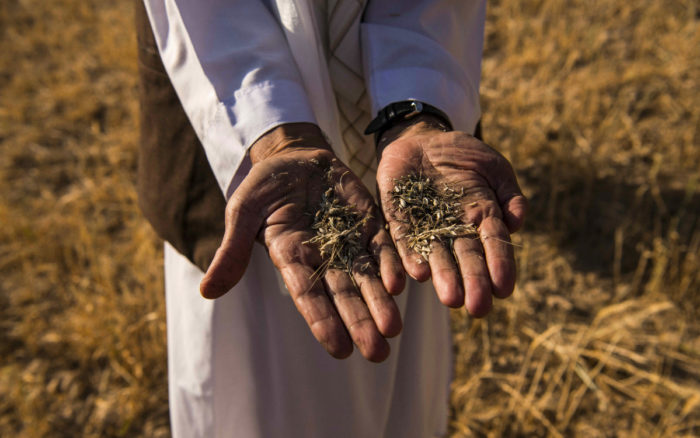 Europa, en camino hacia un futuro de sequías extremas